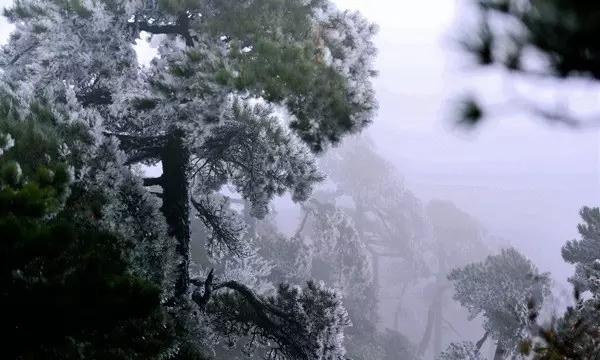 王倩:“金牌”反诈宣传员的日常