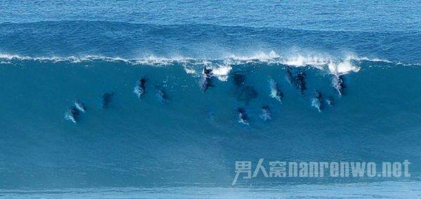 “相约浪漫水银 拥抱诗意木瓜” 木瓜镇不断提升游客体验感